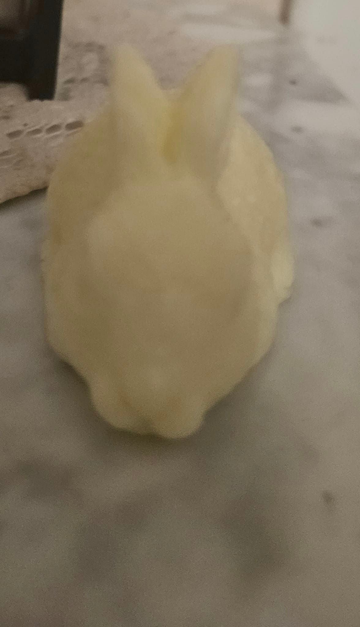 Coconut Yellow Bunny